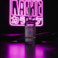 Gemini_Generated_Image_oosnr3oosnr3oosn